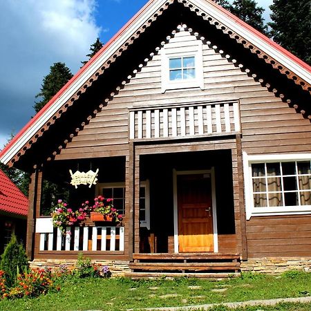 Alpine Ski Chalet Borovets With Sauna Buitenkant foto