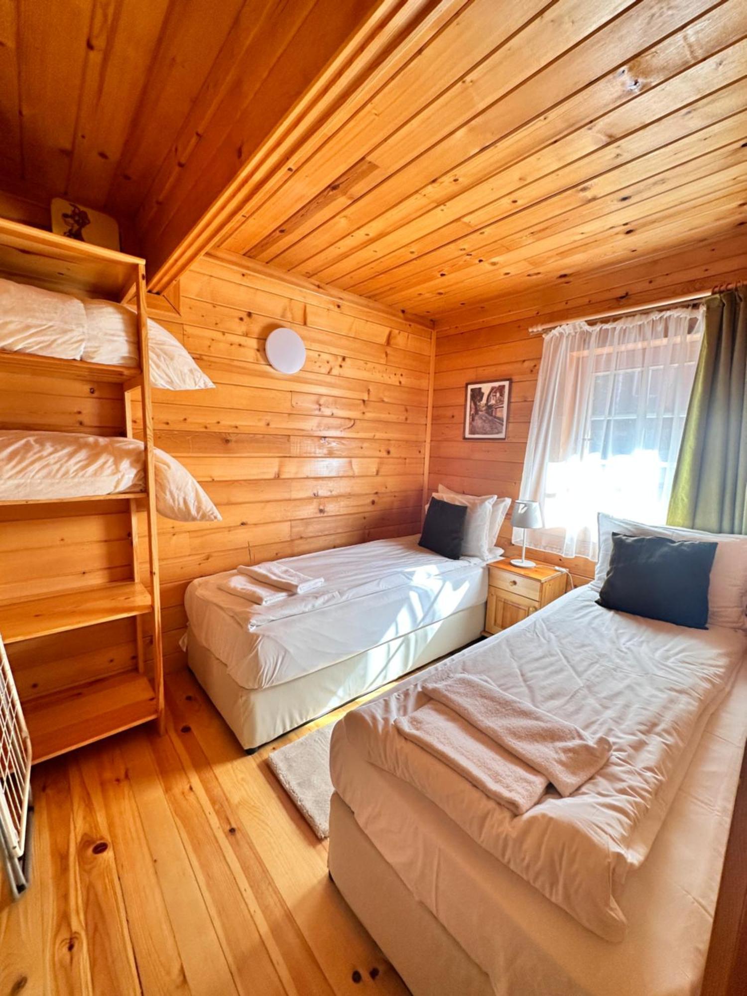 Alpine Ski Chalet Borovets With Sauna Buitenkant foto