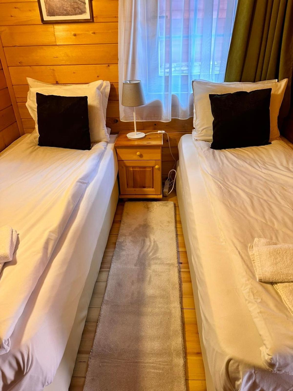 Alpine Ski Chalet Borovets With Sauna Buitenkant foto