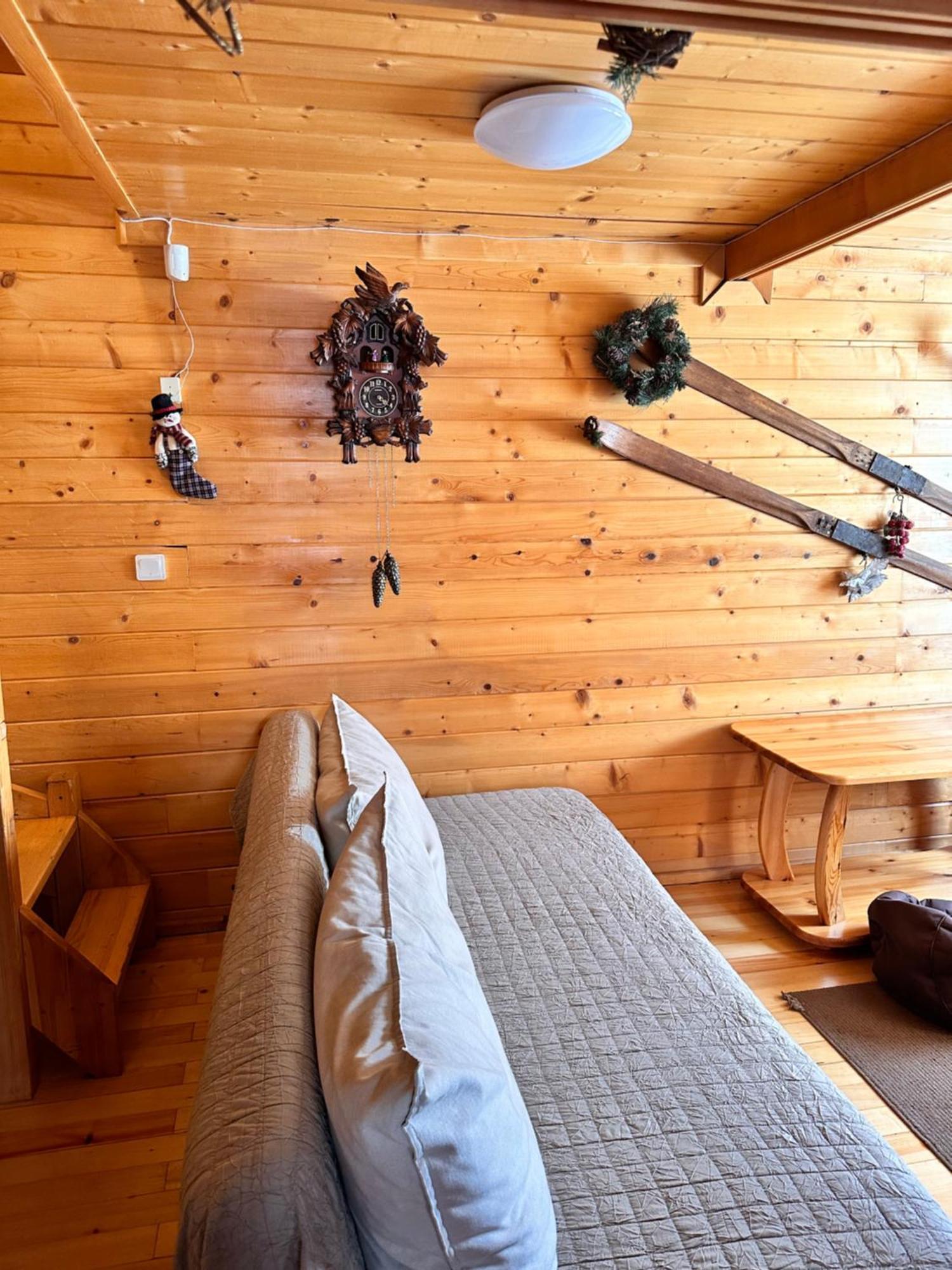 Alpine Ski Chalet Borovets With Sauna Buitenkant foto