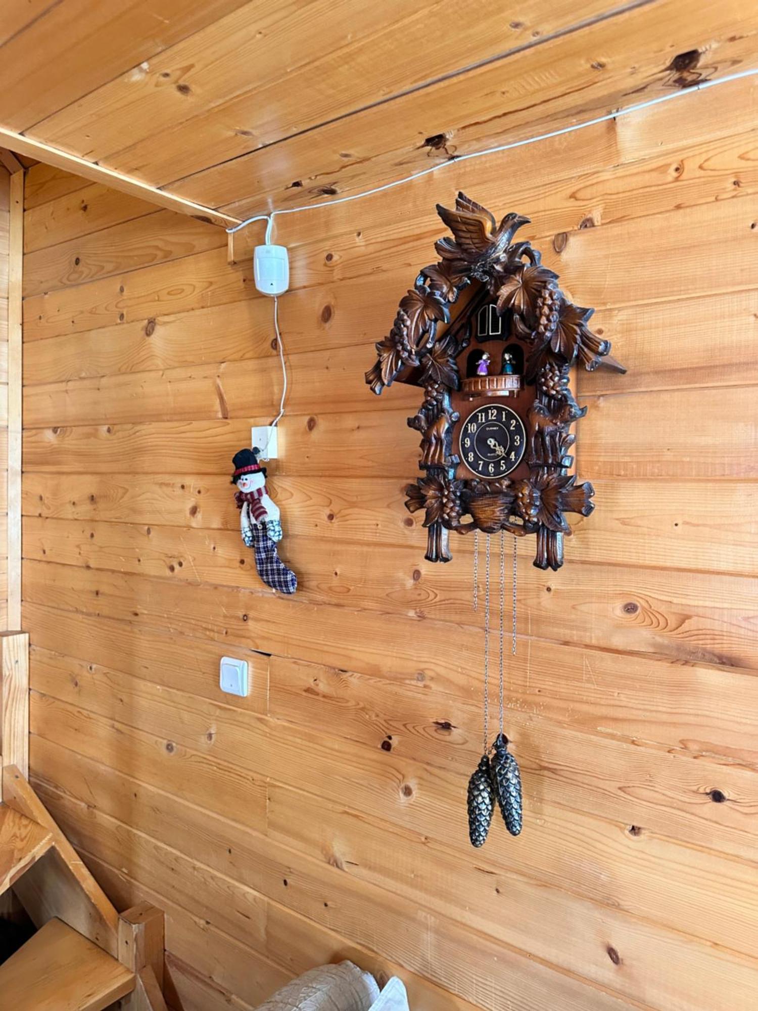 Alpine Ski Chalet Borovets With Sauna Buitenkant foto