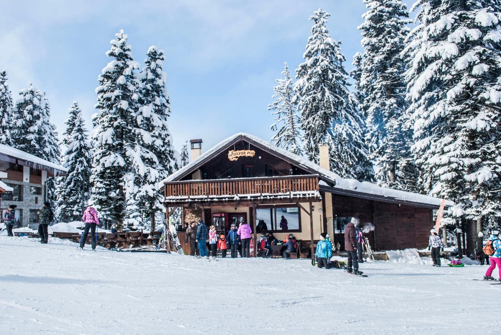 Alpine Ski Chalet Borovets With Sauna Buitenkant foto