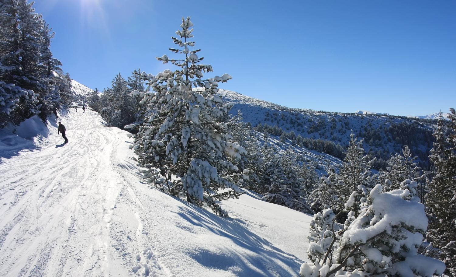 Alpine Ski Chalet Borovets With Sauna Buitenkant foto