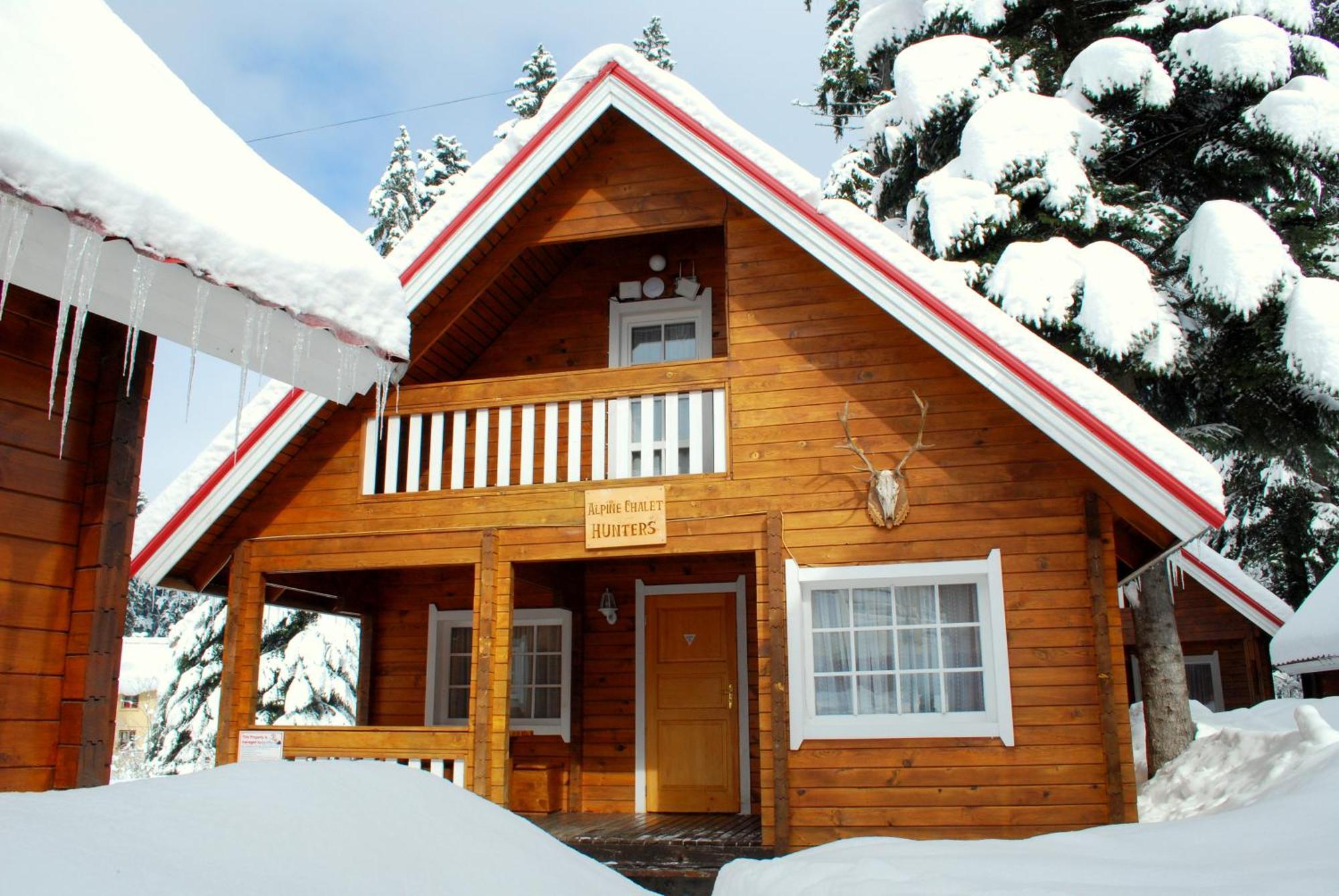 Alpine Ski Chalet Borovets With Sauna Villa Buitenkant foto