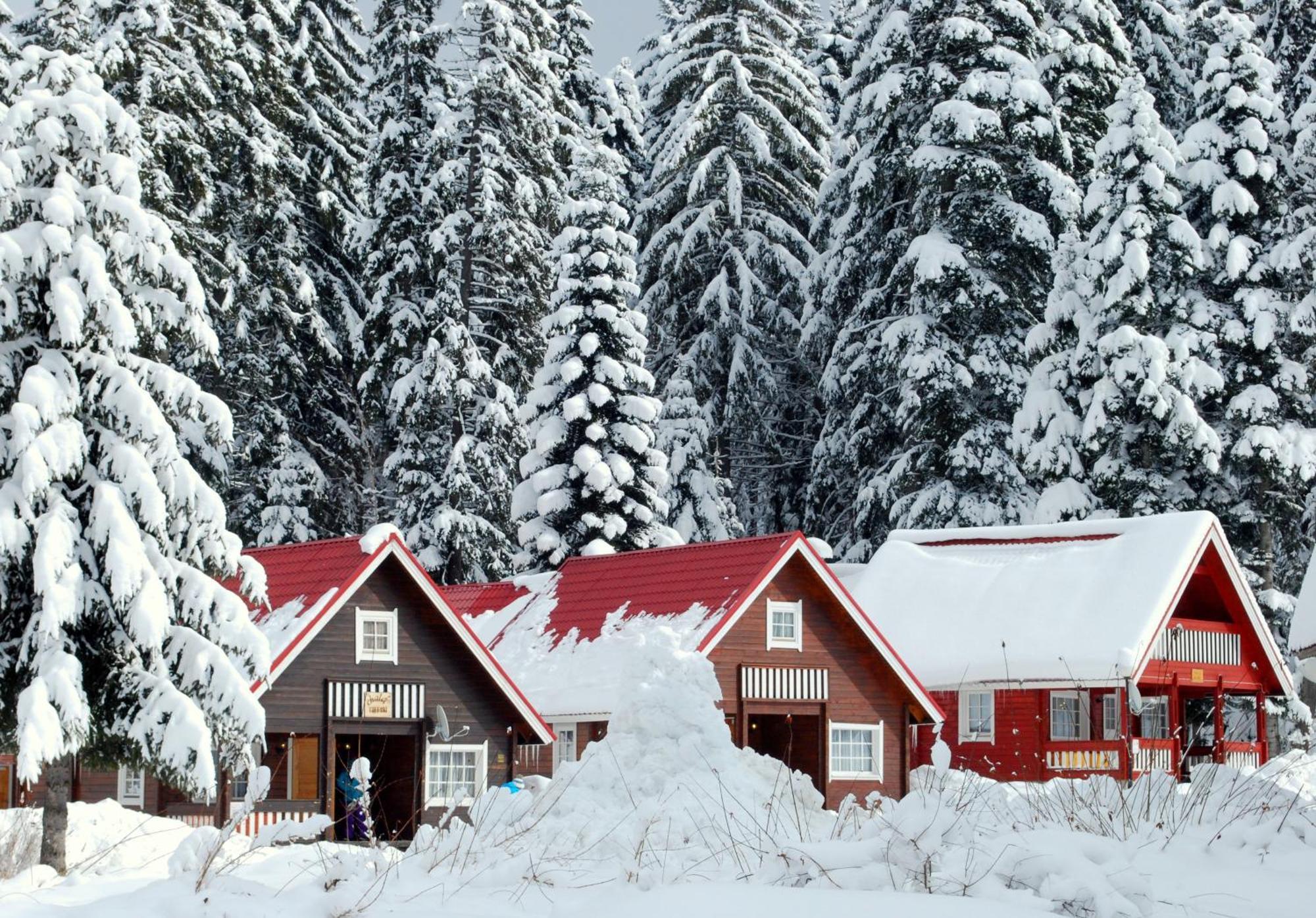 Alpine Ski Chalet Borovets With Sauna Buitenkant foto