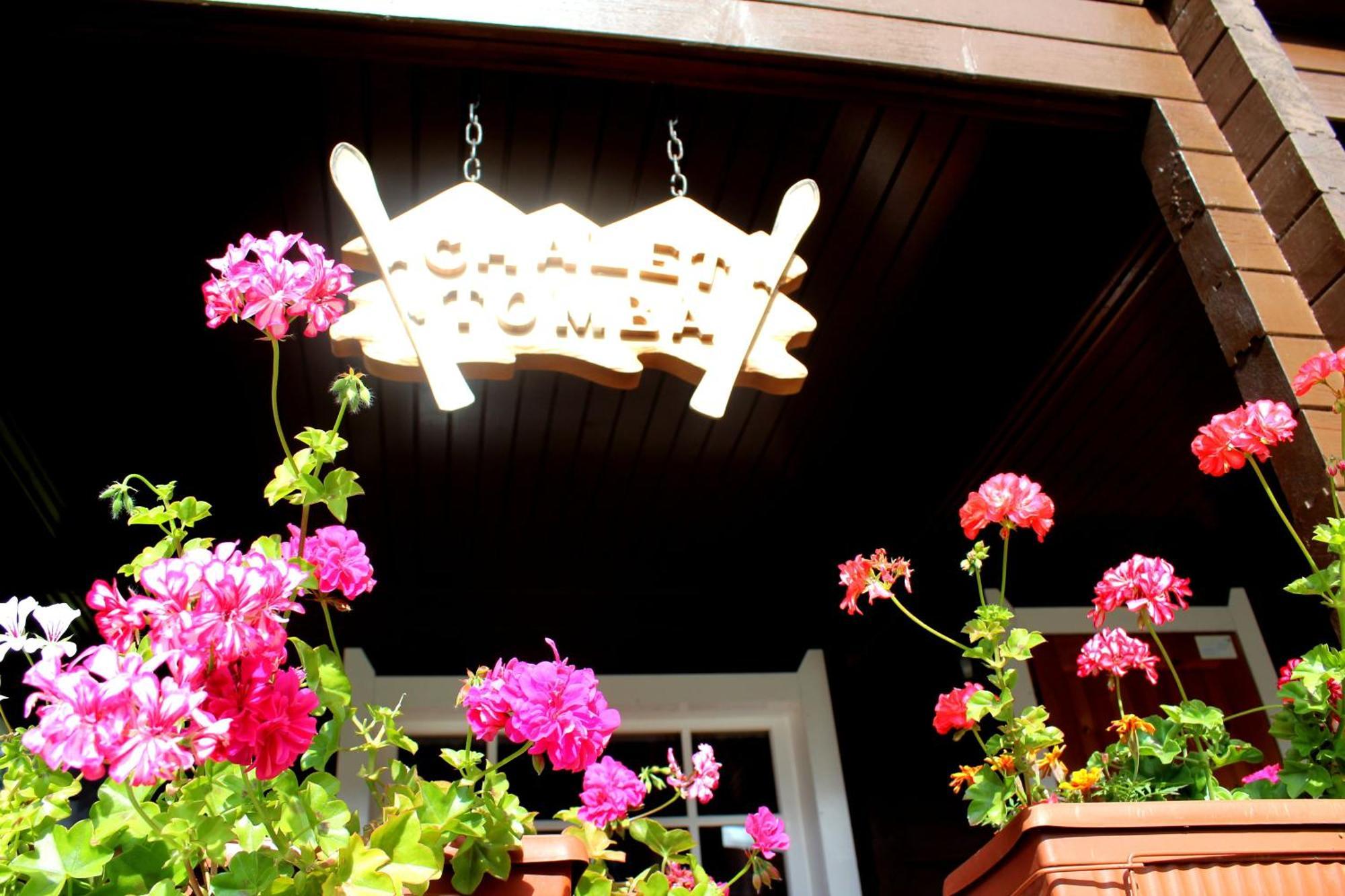 Alpine Ski Chalet Borovets With Sauna Buitenkant foto