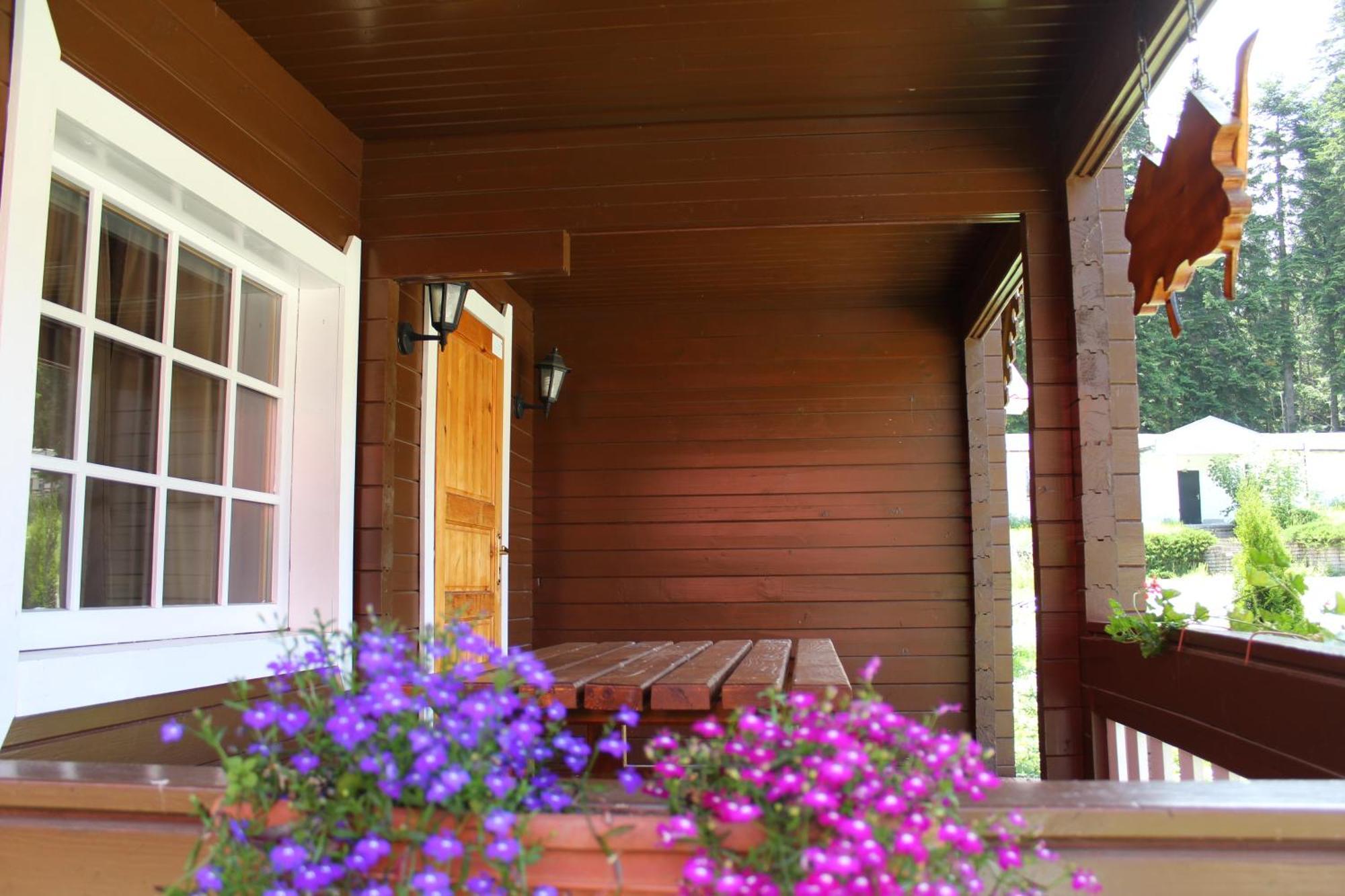Alpine Ski Chalet Borovets With Sauna Buitenkant foto