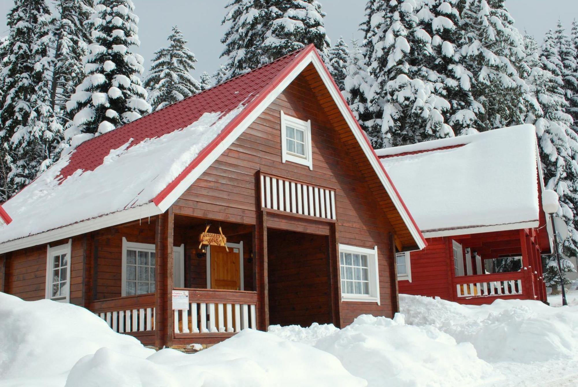Alpine Ski Chalet Borovets With Sauna Buitenkant foto