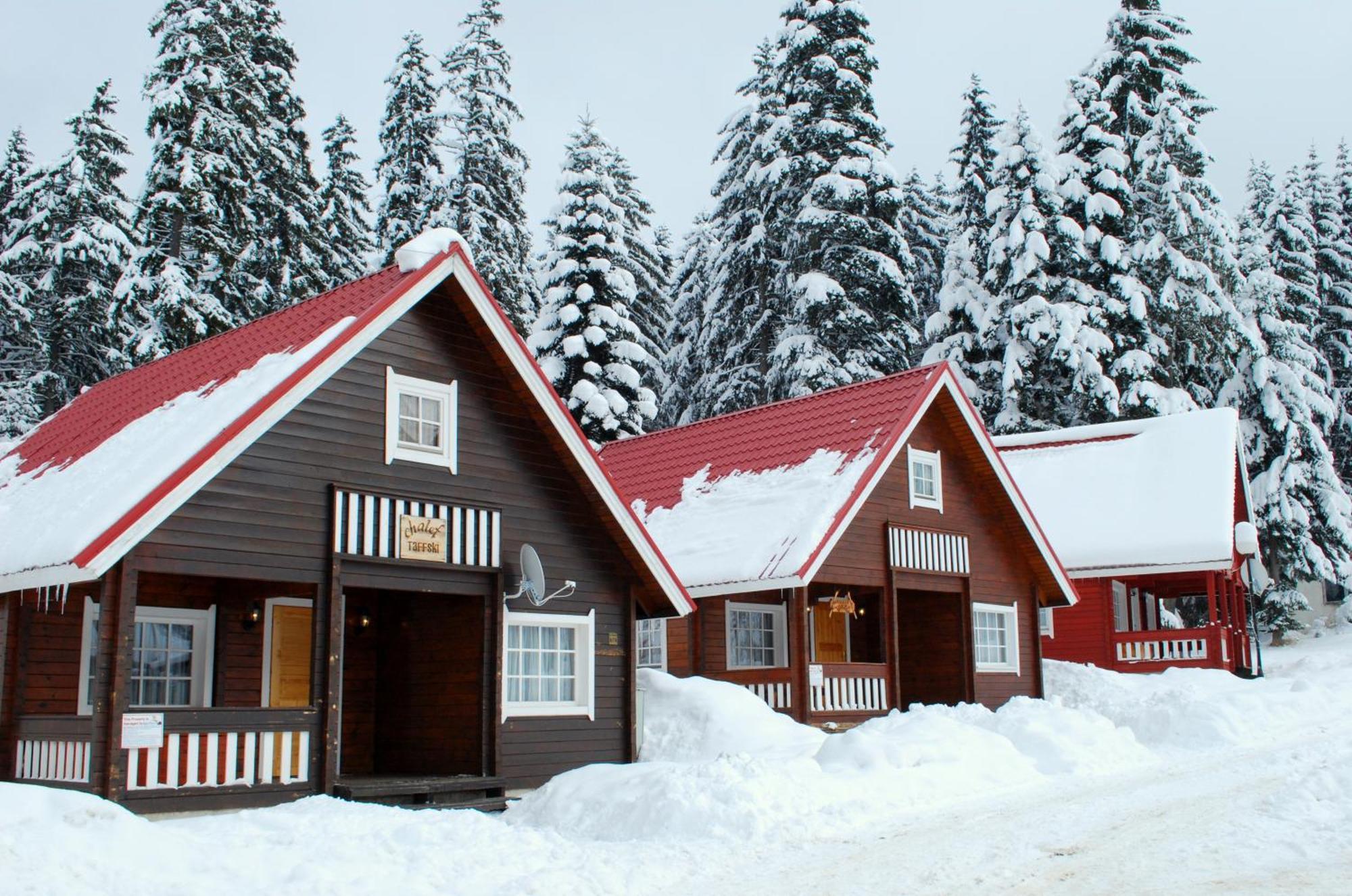 Alpine Ski Chalet Borovets With Sauna Buitenkant foto