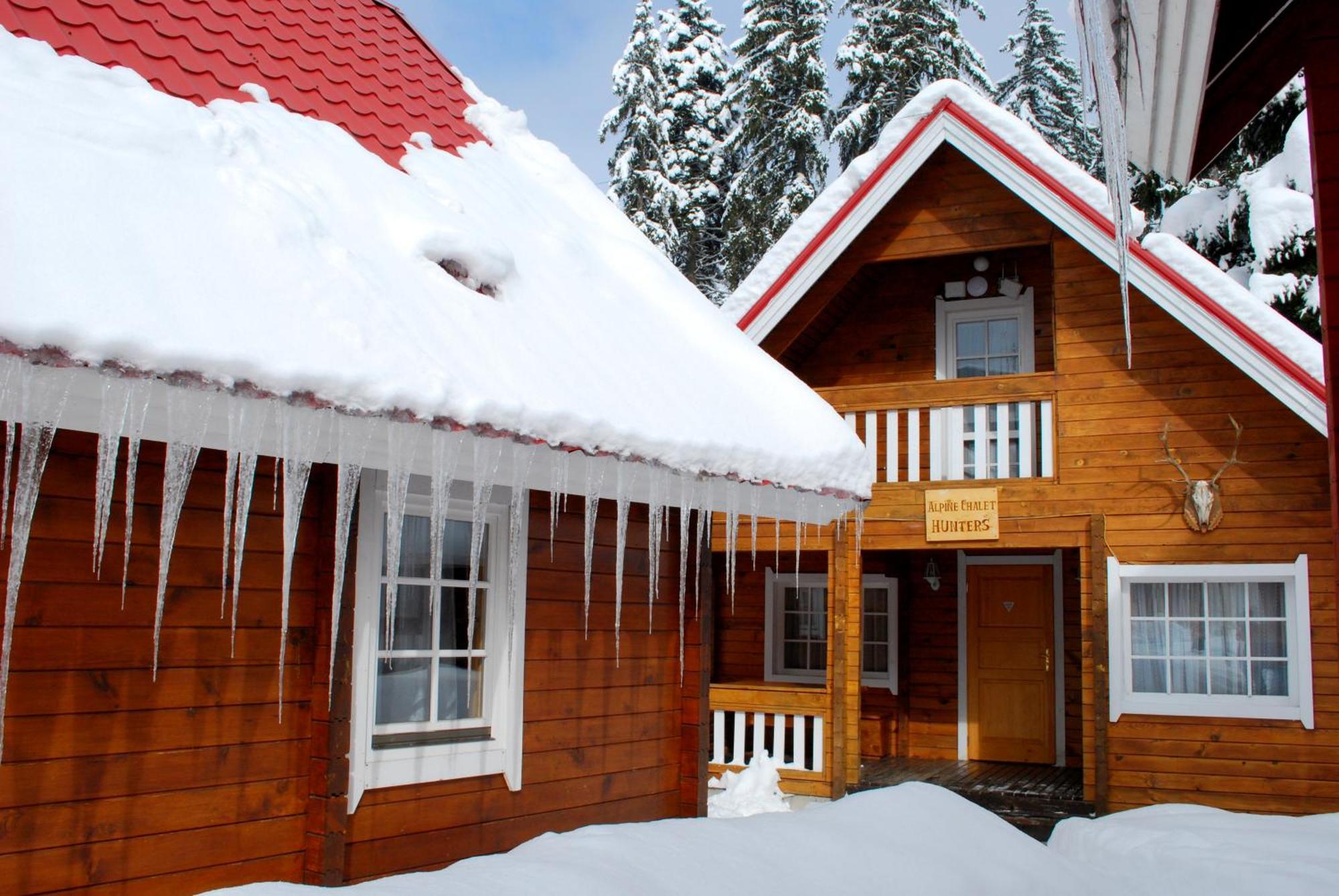 Alpine Ski Chalet Borovets With Sauna Kamer foto